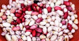 Vendemos frijoles de alta calidad. Más de 20 variedades