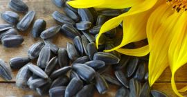 Podemos suministrarle Aceite de Girasol de calidad, con las