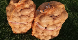 Venderé papas ovation envasadas en bolsas de 15 kg