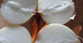 Cebolla pelada española