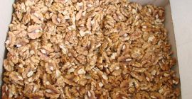 Venderé una nuez de confitería pelada. Venderé una nuez