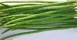 Muslos de verduras frescas de la India