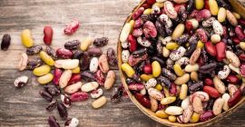 La empresa Bins Natur Product vende frijoles cultivados en