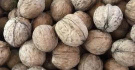 Compraré Nuez Entera a partir de 500 kg. Nuez