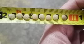 Venta de Lentejas Verdes, envasado en Big Bags o