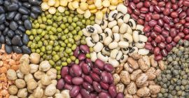 Comercio al por mayor de frijoles. Venta de frijoles.