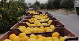 Trabajamos con calidad. Los precios pueden variar según la