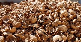 Compraré los desechos del tratamiento de las nueces Compraré