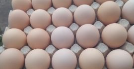 ¡Hola! Vendo huevos crema de corral 1A, 1B. Las