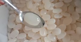 Soy un agricultor de frutas kolang kaling, estoy buscando