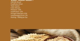 OGM y no OGM Trigo Grado A Origen: EE.