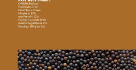 Semillas de colza Grado A Origen :Brasil Humedad. :12%