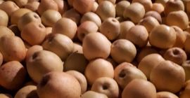 ¡A la venta, manzanas doradas con un precio neto