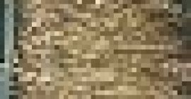 Descripción Se vende plántula de rábano picante, grandes cantidades,