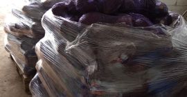 Venderé repollo rojo, 1-3 kg, de almacenamiento en frío.