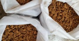 Somos un productor y proveedor de frutos secos y