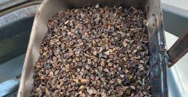 Vendo trigo sarraceno orgánico, certificado, pesado, con 14% de