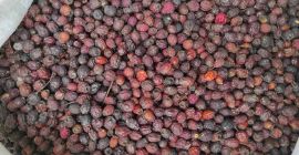 Frutas secas de espino a la venta en una