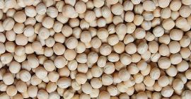 Guisantes amarillos 1000MT.