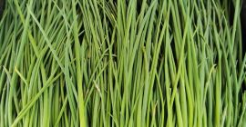 Vendo cebollino fino por peso, cantidad y precio a