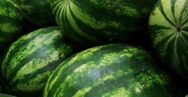 voy a comprar una sandia, calidad de mercado