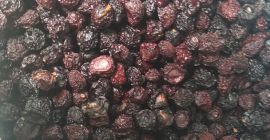 Venta de cerezas dulces secas con huesos de Moldavia.