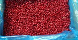 Ofrezco una grosella roja congelada, una caja de cartón