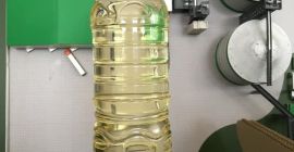 Producción y comercialización de aceite de girasol. Producción y