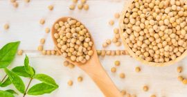 LAS ESPECIFICACIONES: SOYA GMO Contenido de humedad: 14% máx.