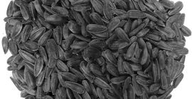 Olor Típico Inodoro, sin olores extraños Color Negro –