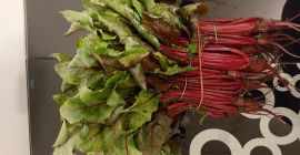 Hola, vendo grandes cantidades de botwinke. Teléfono 604 611