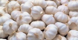 Ubicación: Turquía Min. Compra amt. : 2000 kg Tipo