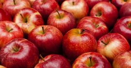 Gala es una variedad de manzana consumida en muchos