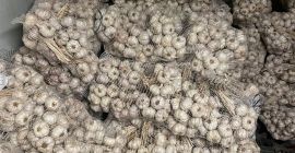 Vendo ajo polaco, sazonado. Muy bonito, saludable. Empaquetado en