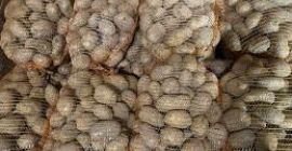 Hola vendo papa variedad &quot;TAJFUN&quot; 3.5 toneladas. Las patatas