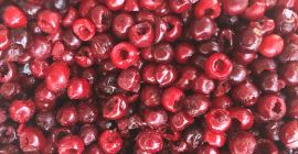 guindas congeladas deshuesadas empaque 10kg origen IRAN