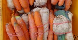 Verduras frescas 1 kg. ± 100g Siempre preparado con