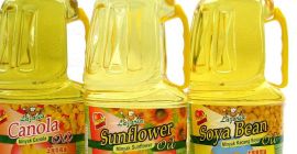 Detalles de empaquetado: 1) JERRY CAN: 2L, 3L, 5L,