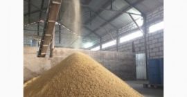 Vendemos harina de soya a granel, empaque corrido, presa.