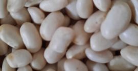 Frijoles a la venta !!!
