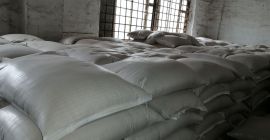 Ofrecemos comprar mijo amarillo de un almacén. Embalaje en