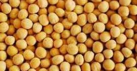 Buenos Dias. Venderé guisantes amarillos en una cantidad de