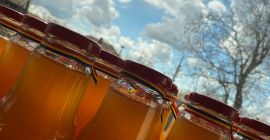 ¡Zumo de manzana certificado ecológicamente! (variedad golden delicious) ¡Sin