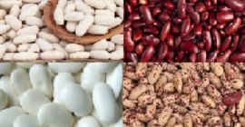 Natur Beans Product comercializa alubias de calidad de diversas