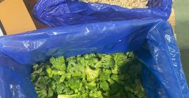 Congelado -18 grados. Todos los certificados. El producto se