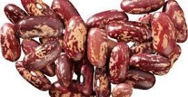 Vendemos los frijoles de alta calidad con la entrega