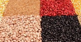 Alubias Natur Product comercializa alubias de calidad de diversas