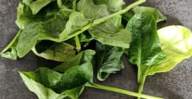 la venta de espinacas, especie dallas al bravo en