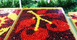 Somos S&amp;T LTD y le ofrecemos productos de primera