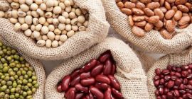 La empresa ucraniana Beans Natur Product vende frijoles de